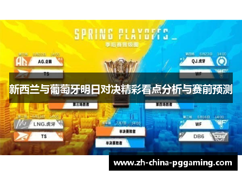 新西兰与葡萄牙明日对决精彩看点分析与赛前预测